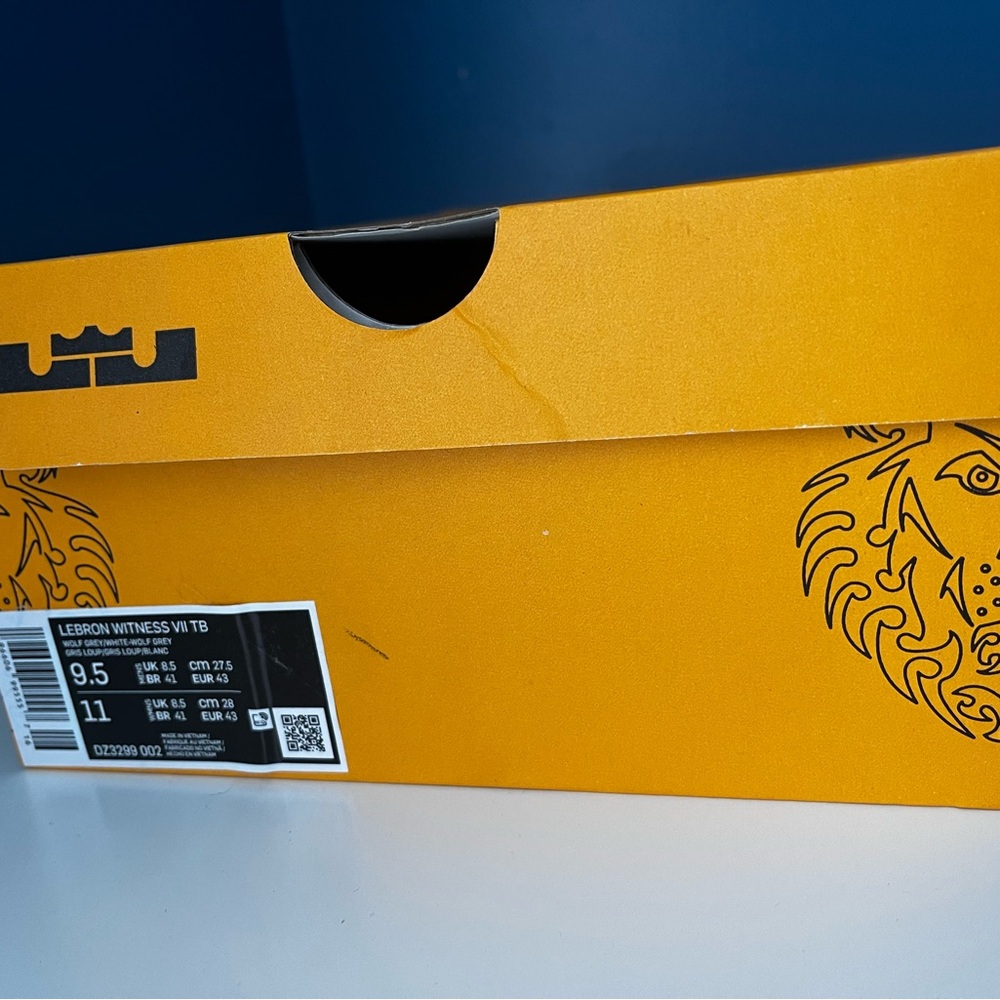 LeBron Witness VI TB Shoe Box in Orange